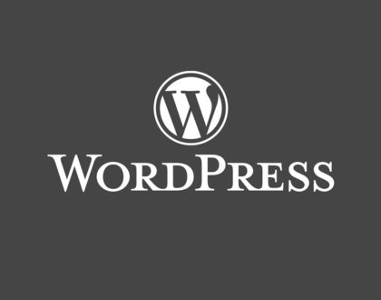Eliminar el borde gris en las imágenes de Wordpress